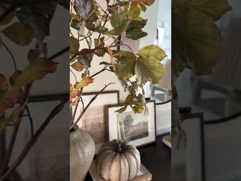 Styling new fall decor.🍂🍁 #earlyfalldecorating #homedecor #falldecorstyling #falldecoratingideas
