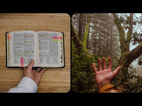 What I Replaced the Mormon Church With