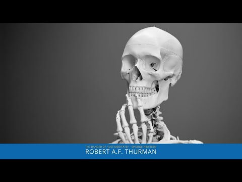 The Danger of “Just Meditate!” : Exploring Meditation with Robert Thurman