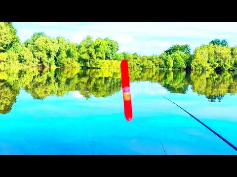 Не ожидал от этой рыбалки такого результата!!! ЛОВЛЯ на ПОПЛАВОК ЛЕТО 2024!!! ЛИНЬ КАРАСЬ!!!!