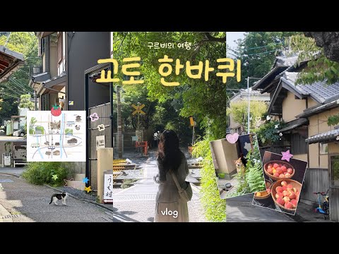 교토vlog l 교토 한 바퀴 코스☘️ 초록이 물든 거리를 걸어 다니는 힐링 여행