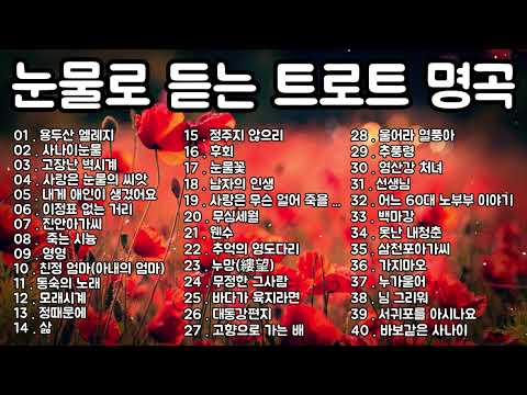눈물로 듣는 트로트 명곡 40선 🎶이민숙·정애리 인생과 사랑을 노래한 감성 히트곡 모음