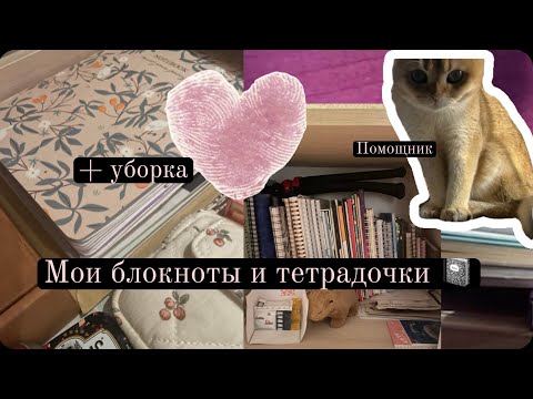 Обзор всех моих блокнотов и тетрадей генеральная уборка vlog  @pollypie мой кот мой рабочий стол 