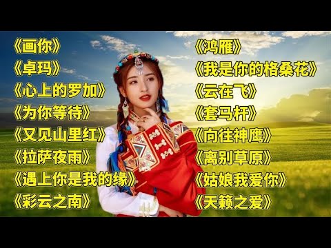 悦耳画你卓玛心上的罗加为你等待又见山里红拉萨夜雨