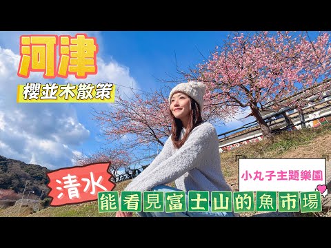 【日本靜岡】 河津櫻花祭🌸櫻並木散步道路｜小丸子👩🏻主題樂園｜大型親子商場🏬｜清水🐟魚市場必食店舖｜交通🚎懶人包｜高CP值酒店🏨分享| #日本 #富士山 #河律 #清水