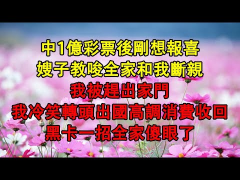 中1億彩票後剛想報喜,嫂子教唆全家和我斷親,我被趕出家門,我冷笑轉頭出國高調消費收回黑卡一招全家傻眼了