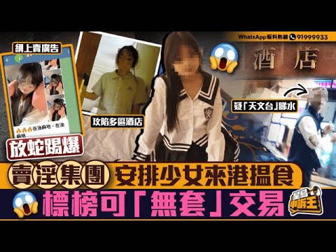 放蛇直擊賣淫集團安排少女來港 標榜可「無套」交易｜星島申訴王｜賣淫集團｜油尖旺｜北角｜酒店｜星島頭條