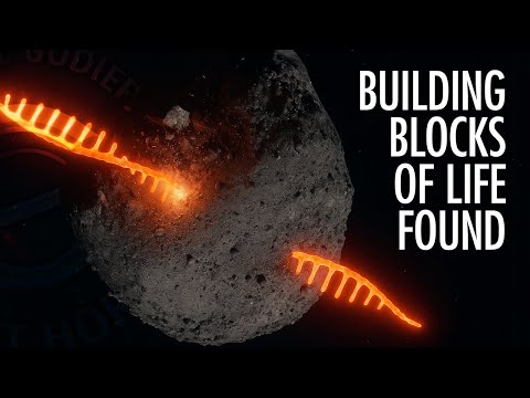 Breaking News: RNA's Ingredients Found at Bennu | Dr. Steven Benner