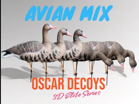 Обзор на комплект чучел Oscar Decoys Avian-Mix Elite 3D