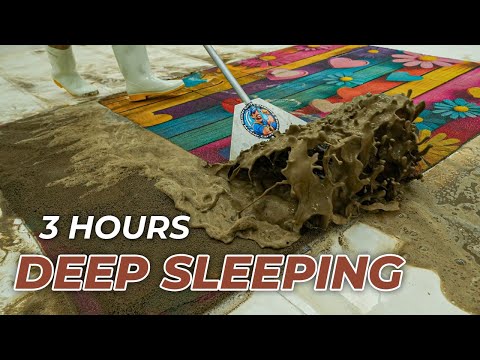 3 Hours Of Magic Carpet Cleaning To Enhance Sleep - Reduce Stress - ASMR Sleep - For Deep Sleep