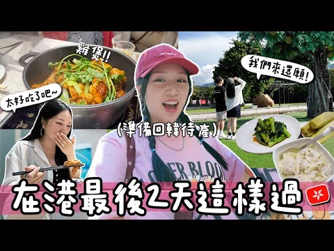 VLOG🇭🇰 最後2天倒數！回港基本上為了爆食XD？ 許願樹願望成真要還神？馬上要回韓待產了！🐝 Mira 咪拉