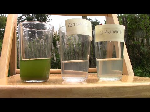 But Is It Really Activated Charcoal? (Make your own and then test it..)