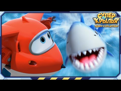 Суперкрылья | Best | Приключения диких животных | Лучшая подборка серий