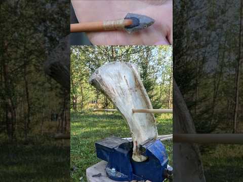 Arrow stone tip vs. beef shoulder bone #bushcraft #wood #woodworking
