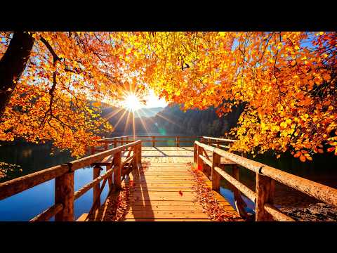 November Autumn Scenery 🍁 Relaxing Autumn Music For Stress Relief, Deep Relaxation, Calming Nervous