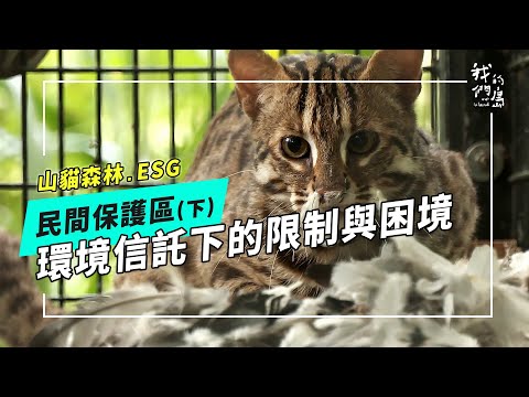 【環境信託】30X30民間保護區 可行嗎？《下》｜環境信託的限制與困境 (公視我們的島 第1223集 2023-09-25)