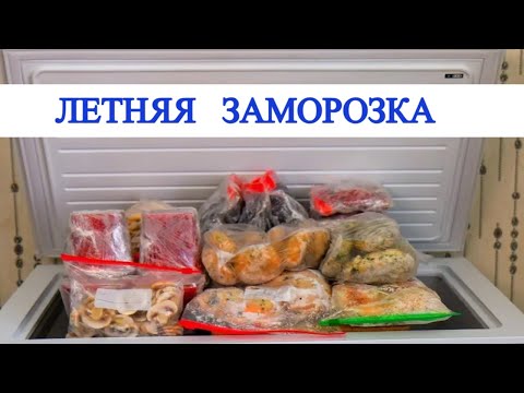 The Big Summer Freeze / What to Freeze Right Now!