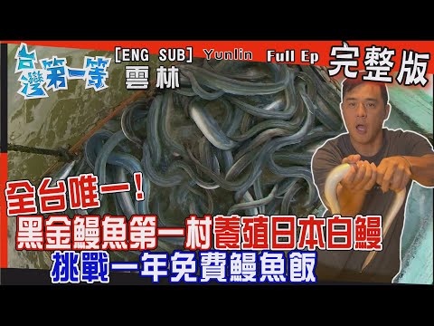[全新] Yunlin【全台唯一全村養殖日本白鰻！真正「黑金鰻魚第一村」挑戰一年免費鰻魚飯！/ 黑金囝仔超"蝦"養殖靠黑金！】│2022.11.27│《台灣第一等》完整版
