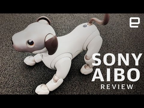 Sony Aibo Review: New dog, new tricks