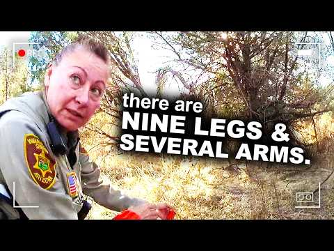 Hunter Discovers 29 Human Body Parts in the Desert