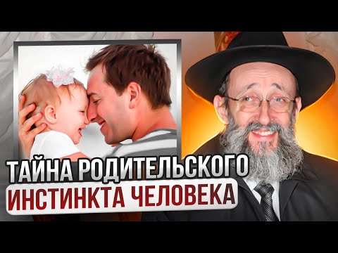 Тайна родительского инстинкта человека. Рав Ашер Кушнир
