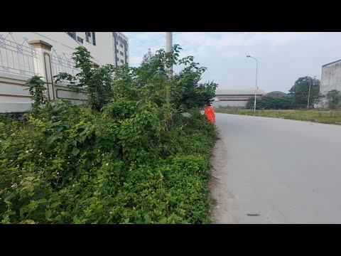 We Were Shocked by What We Found While Clearing an Overgrown Sidewalk