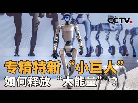 如何让专精特新“小巨人”释放“大能量”？工业和信息化部有新部署 | CCTV「新闻1+1」20251113