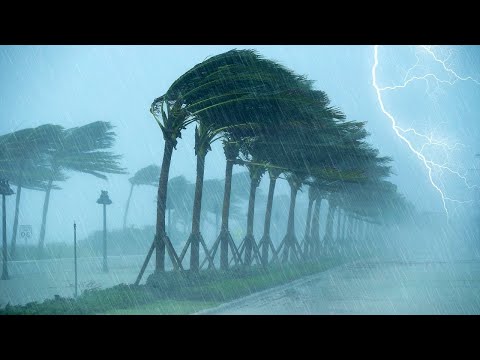 Fall Asleep Quickly With Terrible Hurricane 🌫Strong Wind, Heavy Rain & Thunder Sound At Night