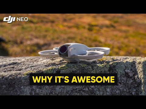 DJI Neo is the BEST $199 "Pet" You Can Buy Right Now!