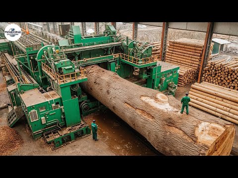 Inside America's $500M 'Super Mill': Amazing Tech Turns Trees Into Cash