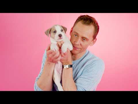 Tom Hiddleston: The Puppy Interview