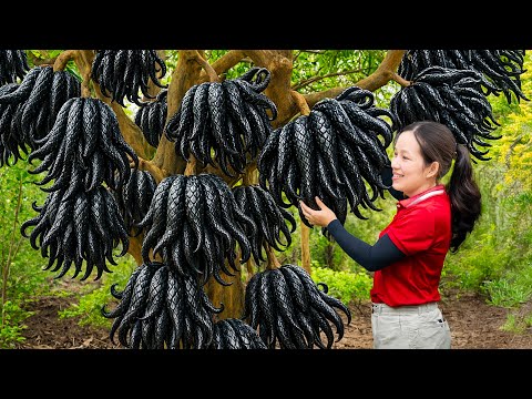 Harvesting 1000+ Giant Snake Skin Fruits & Grilled Fruit Soup | Traditional Village Recipe