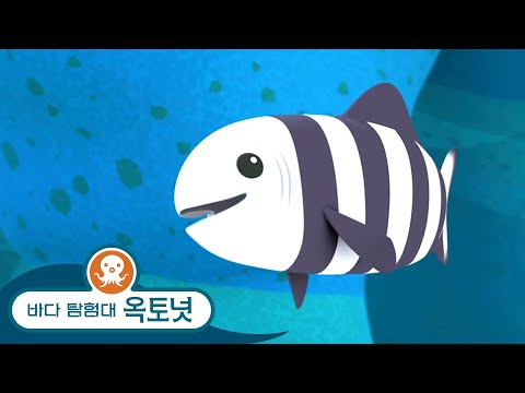 바다 탐험대 옥토넛 - 배고픈 동갈방어 & 날치 - 모음집