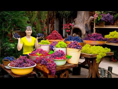 Harvesting Grapes and Selling at the Countryside Market | Animal Care, Onion Harvest & Preservation