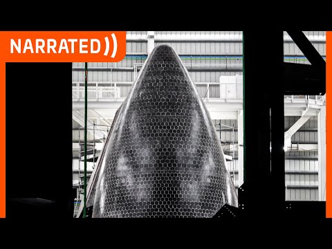 "Thats a fine looking Starship" | SpaceX Starbase