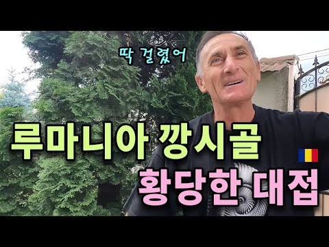 Korean tourists receive a special treatment when visiting a Romanian home for the first time in s...