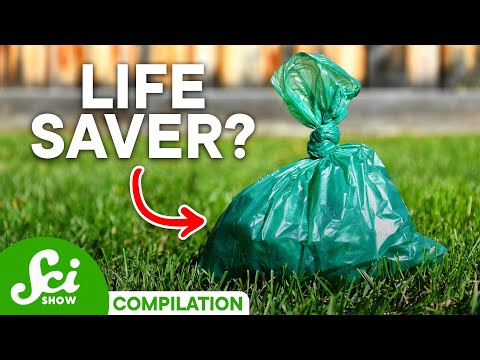 7 Ways That Poop Can Save Lives