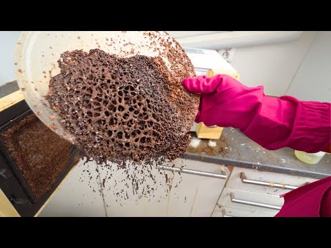 ROTTING KITCHEN NIGHTMARE 😱 - EXTREME CLEANING FOR FREE!!