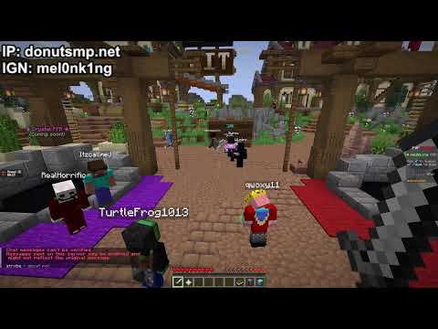 donut smp live i need money please please pelase