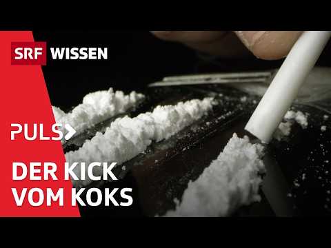 Cocaine: A party drug and stimulant with a risk of addiction and ruin | Puls | SRF Wissen