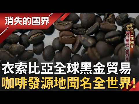 食物是認識其他國家最好的起點！日本跨海到台灣取經成獨樹一幟的菜市場 台灣媳婦首創代客料理打破行規！衣索比亞世界咖啡發源地竟有「咖啡儀式」？｜李文儀主持｜【消失的國界完整版】20250125｜三立新聞台