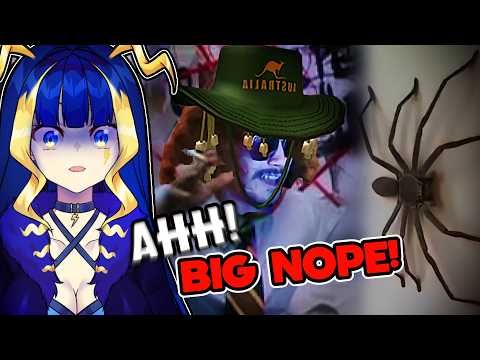 OMG OMG OMG I HATE SPIDERS AAAAA