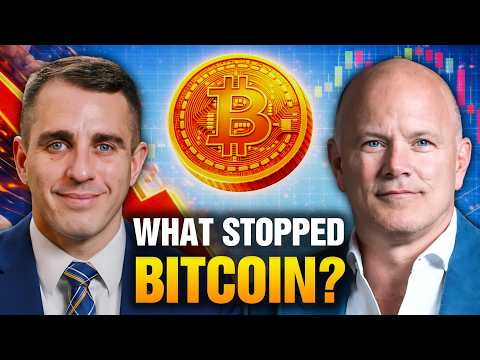 Billionaire Investor Reveals Why Bitcoin Keeps Dropping | Mike Novogratz