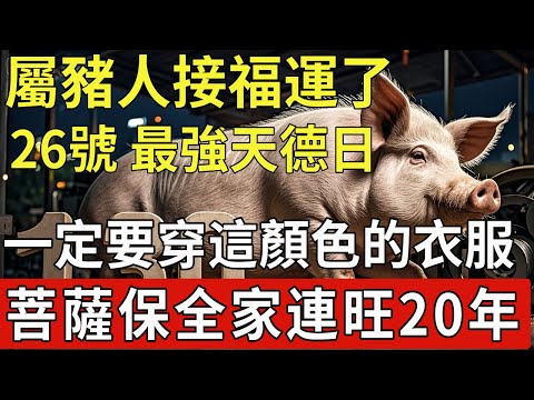 生肖豬必看！百年難遇，明天11月26號，農曆十月初七是「最強天德日」，一定要記得穿這個顏色的衣服，再倒楣也能逆天改命！|福運生肖 #生肖 #運勢 #風水 #財運 #命理