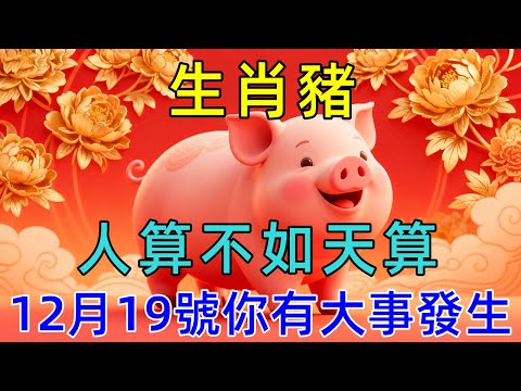 人算不如天算！生肖豬，明天12月19號你有大事發生！屬豬的你知道嗎？  #生肖运势#佛陀#佛學 #佛法 #佛教 #修行 #智慧 #因果 #佛家  #佛學知識 #佛學智慧 #修心修行 #佛教文化