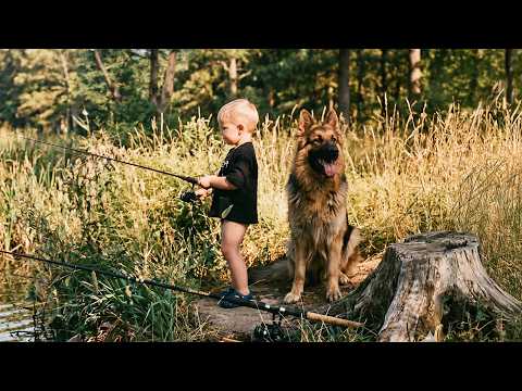 50 Hero Animals That Saved Human Lives 💕 I Best of 2024!