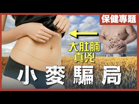 [不是陰謀論]5分鐘教你無痛減肚腩！｜ 濕疹、哮喘、關節痛可能都係因為小麥製品！？｜兩片麥包＝一罐汽水！｜粵語中字