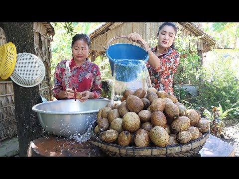 '' Sapodilla fruit '' We harvest sapodilla fruit and cooking - Yummy sapodilla fruit recipes