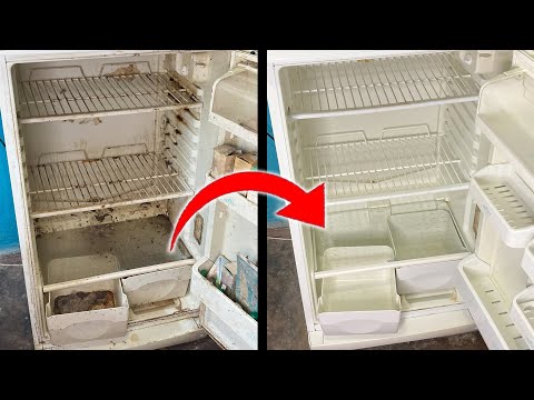 How to Clean a Fridge (Cleaning a Very Dirty Refrigerator)