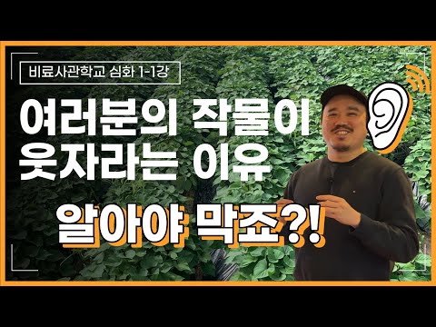 웃자람? 도장지? 원인부터 알아야 막습니다 모르면 비싼 영양제만 삽니다 |인산가리, 인산칼슘 | 비료사관학교 1-1강 | 농사 100단